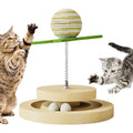 Interactive Spiral Track Cat Toy